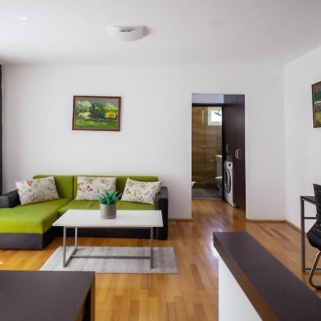Apartament Family Rivulus 9 Baia Mare Exterior photo