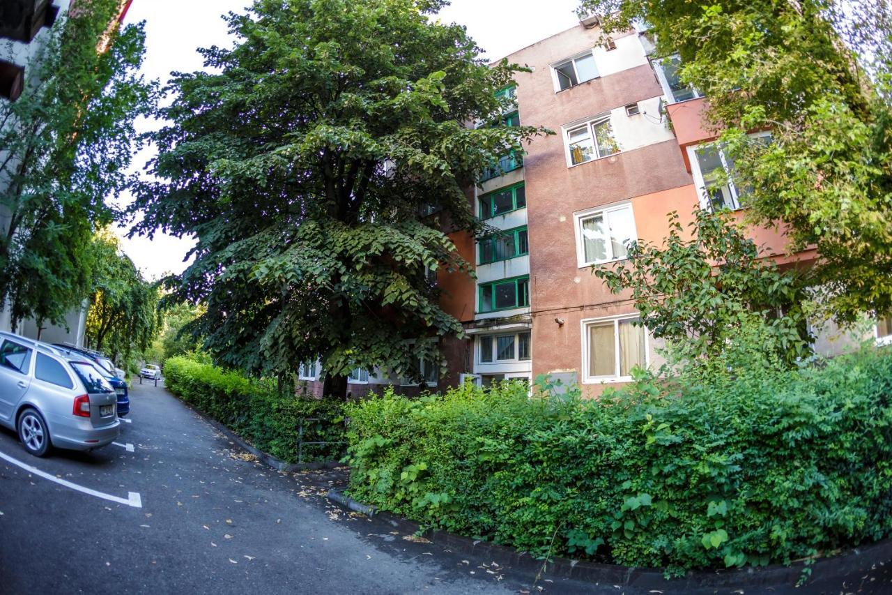 Apartament Family Rivulus 9 Baia Mare Exterior photo