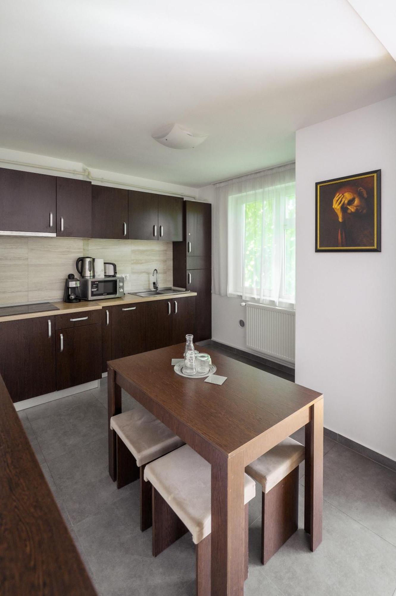 Apartament Family Rivulus 9 Baia Mare Exterior photo