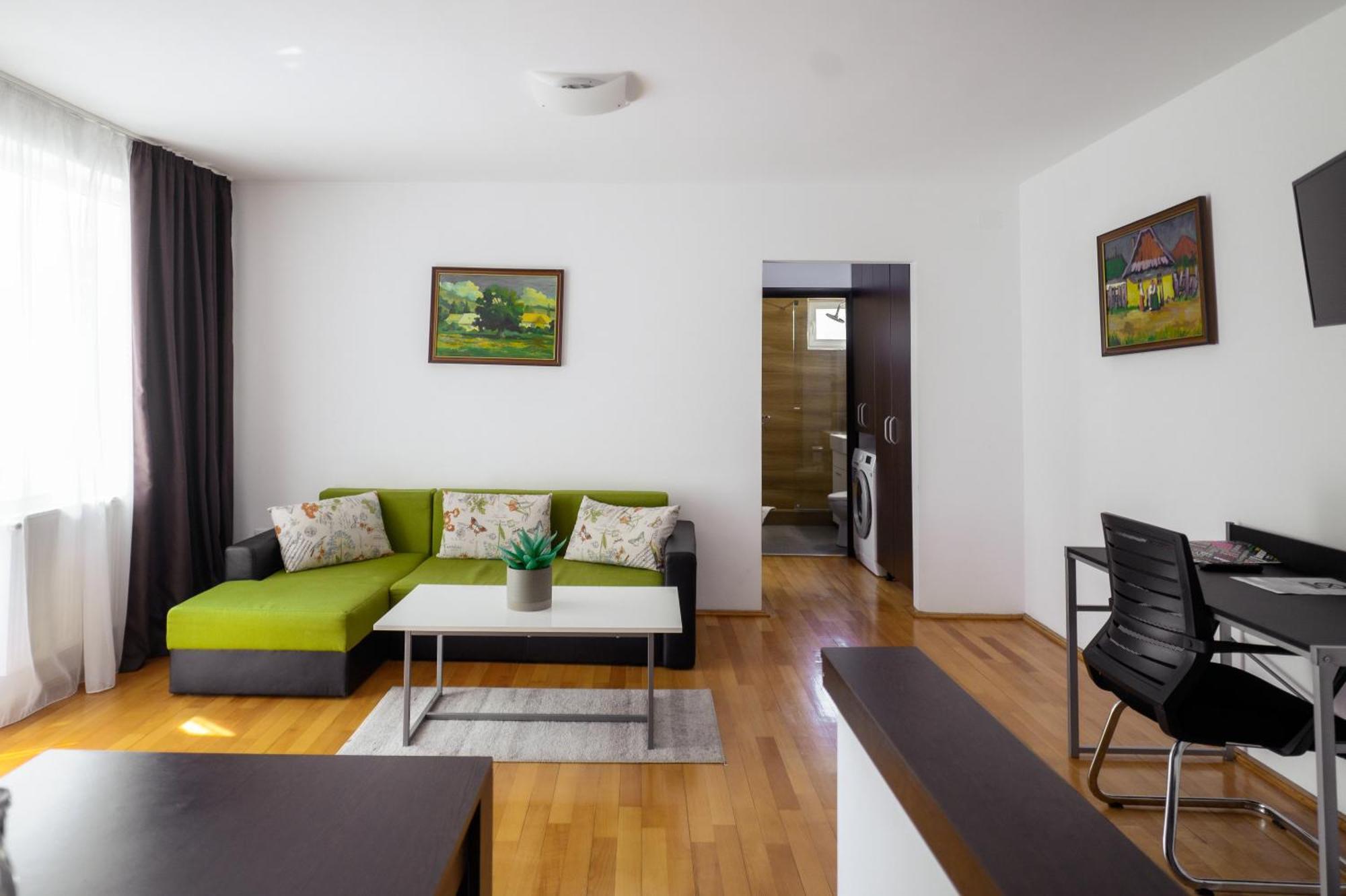 Apartament Family Rivulus 9 Baia Mare Exterior photo